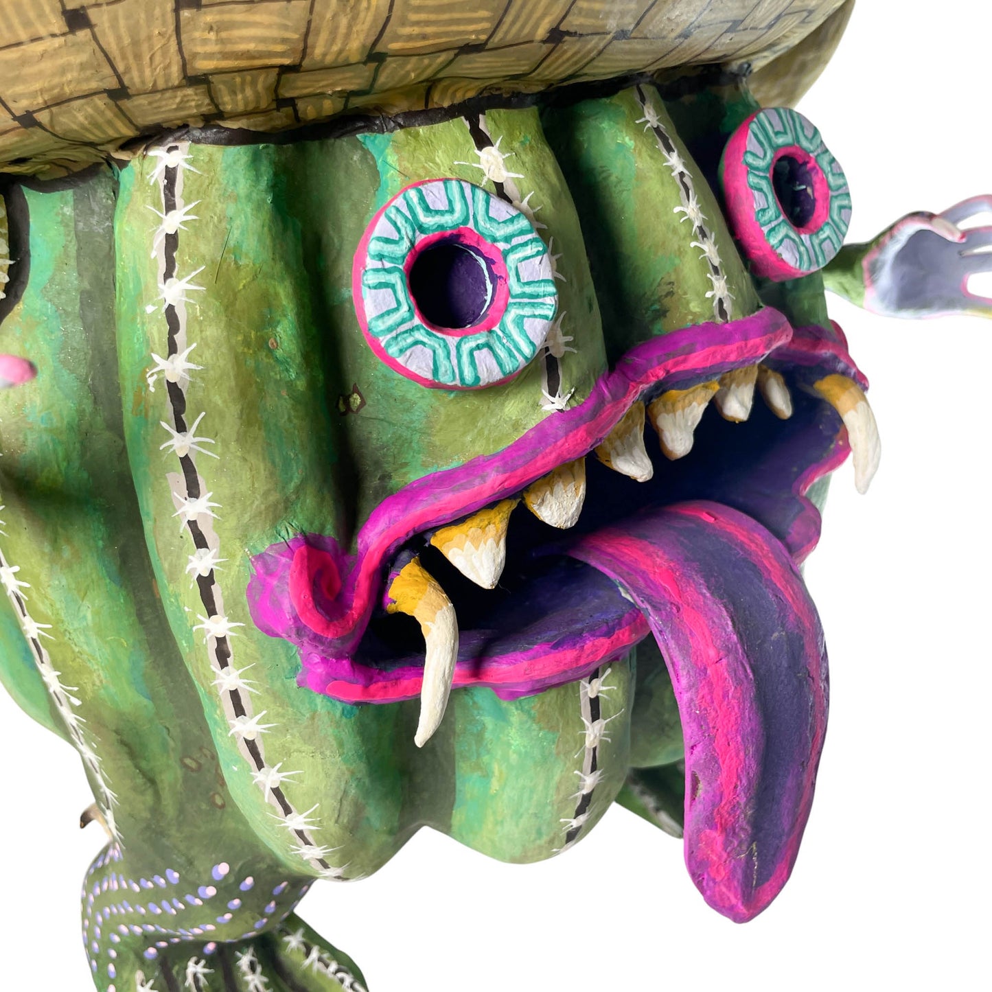 Acapah nuestro señor verde