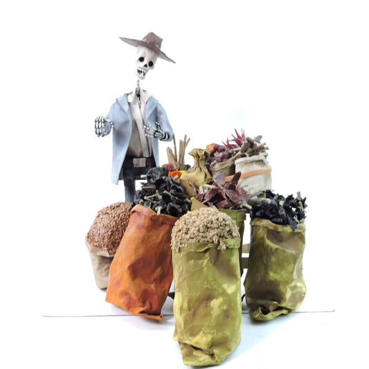 Vendedor de Chiles Secos